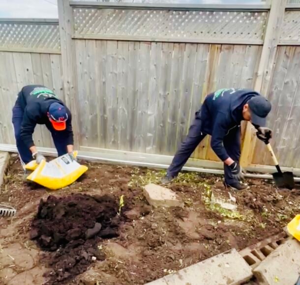 Lush green lawn after professional renovation services by NLLC in Niagara.