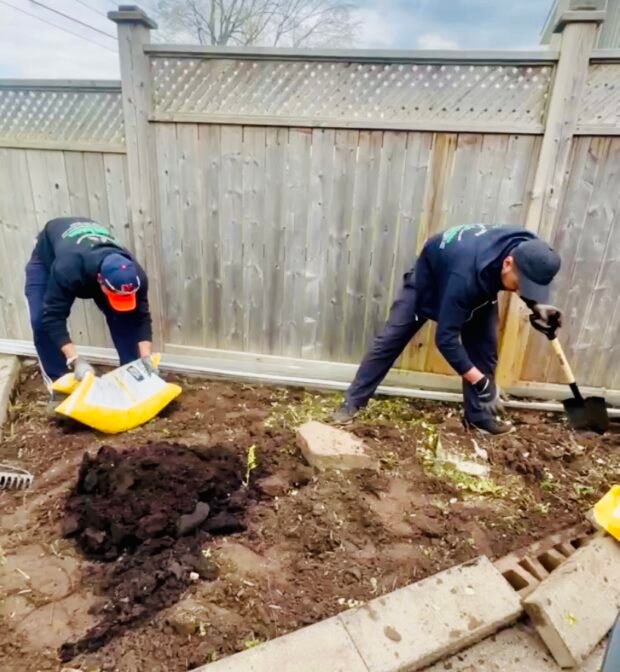 Lush green lawn after professional renovation services by NLLC in Niagara.