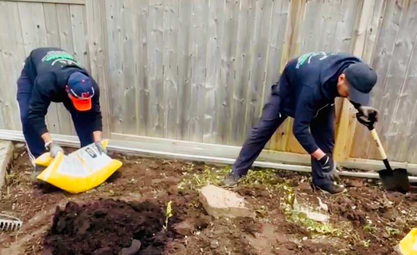 Lush green lawn after professional renovation services by NLLC in Niagara.