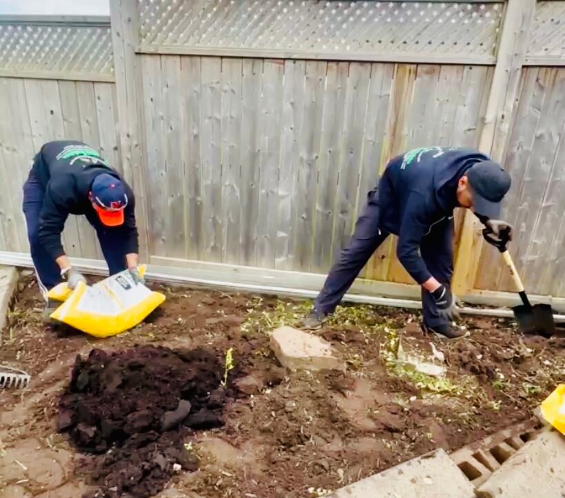 Lush green lawn after professional renovation services by NLLC in Niagara.