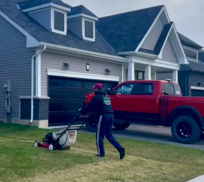 Lawn undergoing dethatching service for improved growth in Niagara.