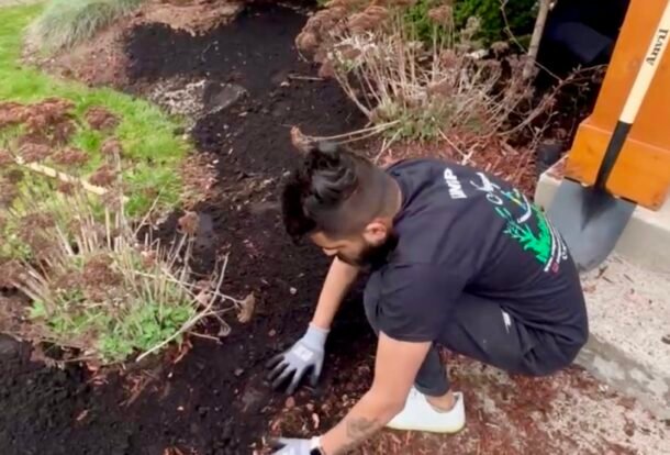 Weed-free, lush green lawn in Niagara after expert weed control services.