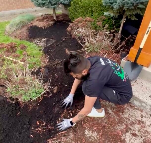 Weed-free, lush green lawn in Niagara after expert weed control services.