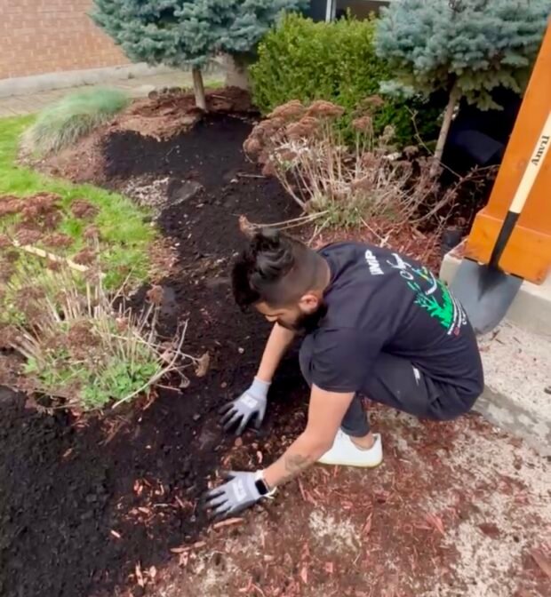 Weed-free, lush green lawn in Niagara after expert weed control services.