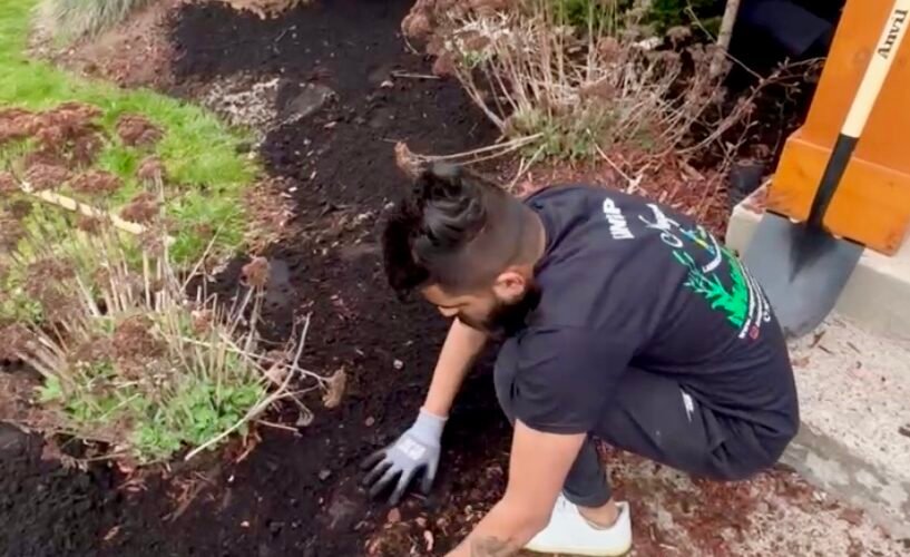 Weed-free, lush green lawn in Niagara after expert weed control services.