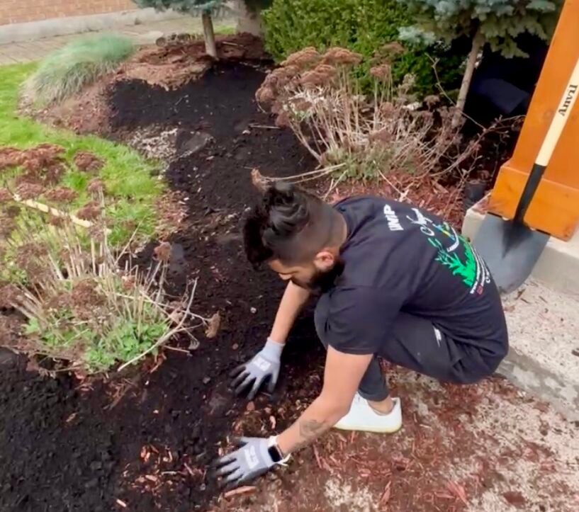 Weed-free, lush green lawn in Niagara after expert weed control services.