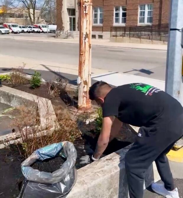 Vibrant lawn with even grass coverage after professional overseeding in Niagara.