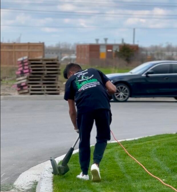 Professionally edged lawn with crisp, clean lines in Niagara.