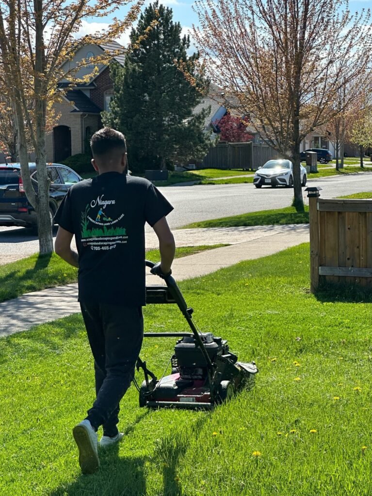 Expert lawn mowing service by NLLC for a lush, green lawn in Niagara.