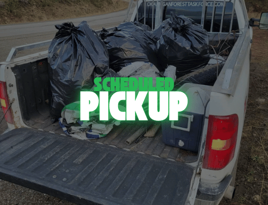 NLLC scheduled pickup in Niagara for junk and large item removal.