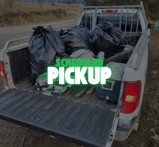 NLLC scheduled pickup in Niagara for junk and large item removal.