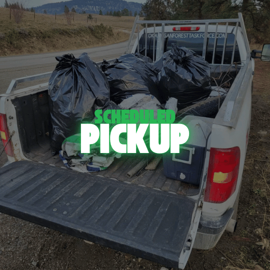 NLLC scheduled pickup in Niagara for junk and large item removal.