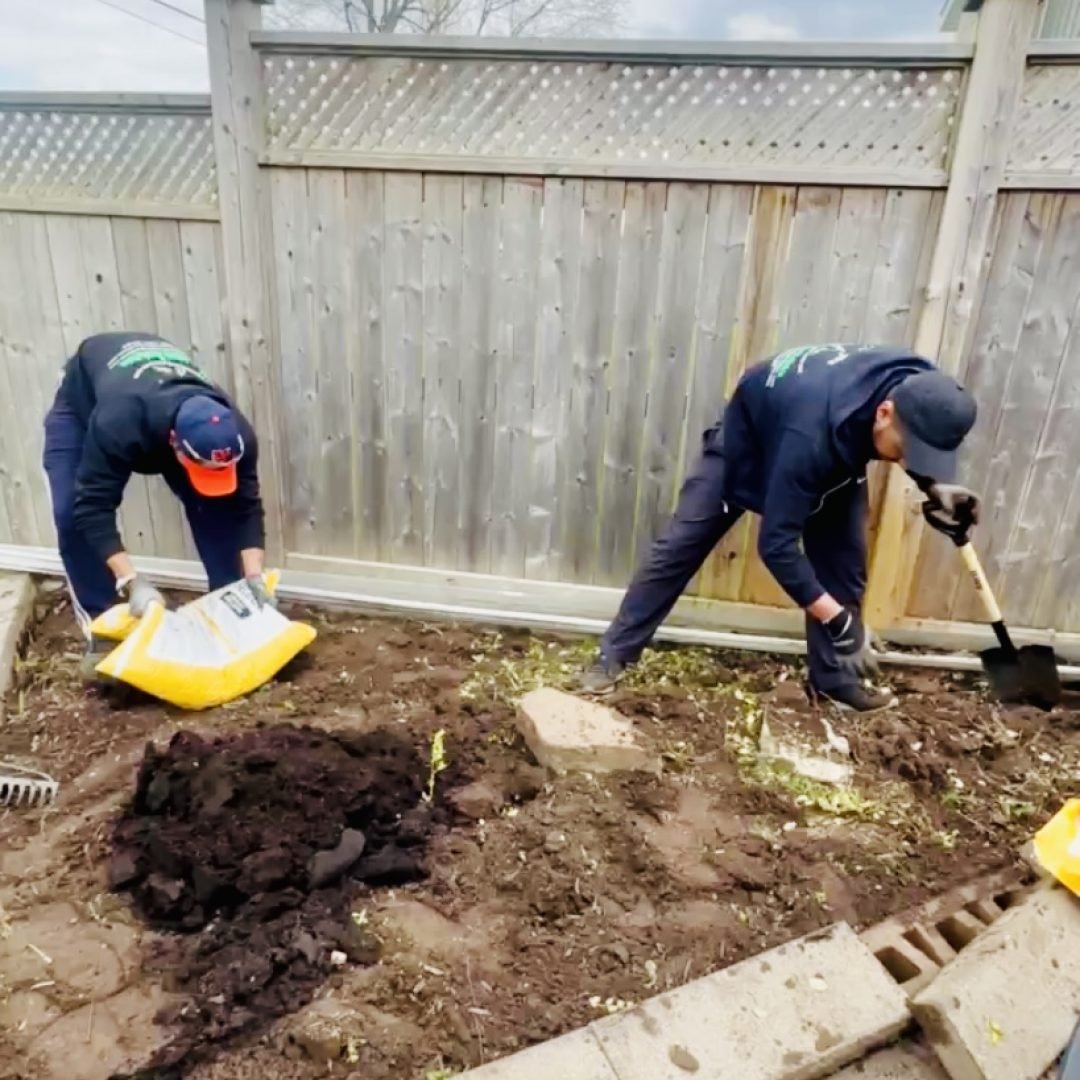 Lush green lawn after professional renovation services by NLLC in Niagara.