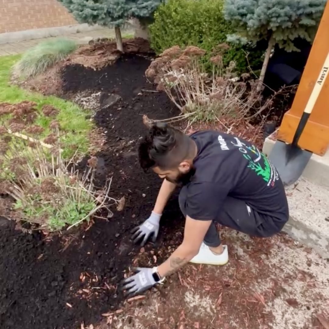 Weed-free, lush green lawn in Niagara after expert weed control services.