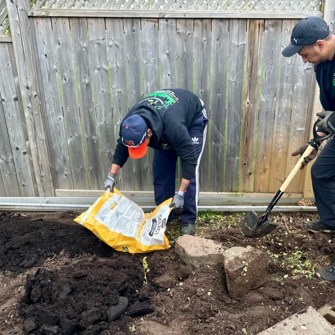 Lawn Renovation Cover